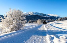 Langlaufloipe im Chiemgau  | © shutterstock - WalterWeiss