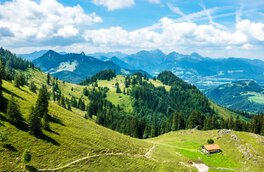 Almsommer im Chiemgau | © shutterstock - FooTToo